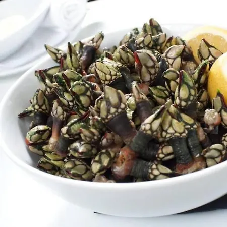 شقة Varandas Da Areia Branca